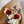 True North Bouquet