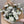 Green and white rose flower bouquet extra large size
