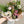 Vancouver, Delta florist tropical flower bouquet 