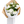 Bouquet of white flowers wrapped in brown paper with a white box on a white background for delivery in Vancouver BC