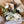 Garden Whites Bouquet
