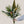 A tropical flower bouquet with palm leaves, orchids, protea and birds of paradise flower