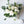 bridesmaid bouquet with white roses and lush greenery wedding flowers vancouver olfco our little flower company