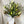 Large close white lily bouquet wrapped for delivery