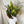 Lily Bouquet