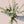 Garden Whites Bouquet